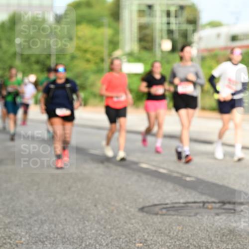 06.09.2026 - CURREX Alsterlauf Dr. Thomas Lammeyer http://msf.ph/oto/10143499 06.09.2026 10:14:10 Laufen  meine-sportfotos.de