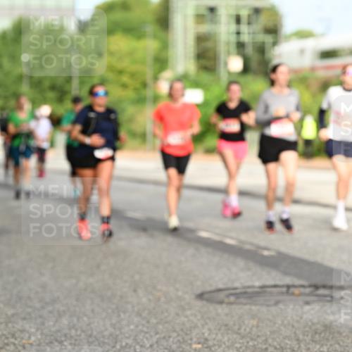 06.09.2026 - CURREX Alsterlauf Dr. Thomas Lammeyer http://msf.ph/oto/10143503 06.09.2026 10:14:11 Laufen  meine-sportfotos.de