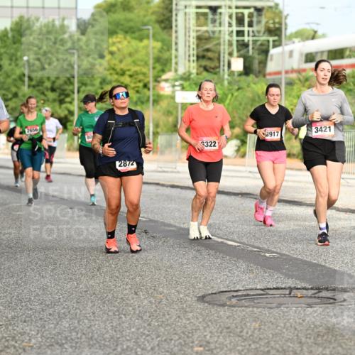 06.09.2026 - CURREX Alsterlauf Dr. Thomas Lammeyer http://msf.ph/oto/10143507 06.09.2026 10:14:11 Laufen 6321, 4857, 2656, 80, 917, 3421, 6322, 2872, 5394 meine-sportfotos.de