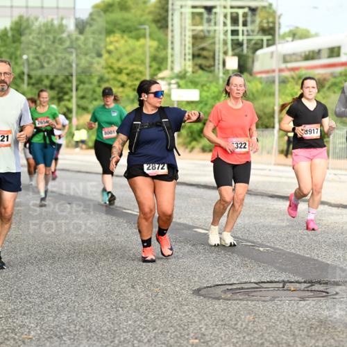 06.09.2026 - CURREX Alsterlauf Dr. Thomas Lammeyer http://msf.ph/oto/10143514 06.09.2026 10:14:12 Laufen 6321, 265, 8001, 3421, 3917, 322, 2872 meine-sportfotos.de