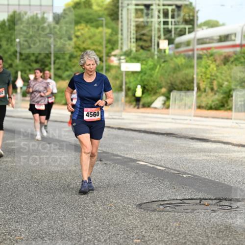06.09.2026 - CURREX Alsterlauf Dr. Thomas Lammeyer http://msf.ph/oto/10143625 06.09.2026 10:14:25 Laufen 4102, 11, 4560 meine-sportfotos.de