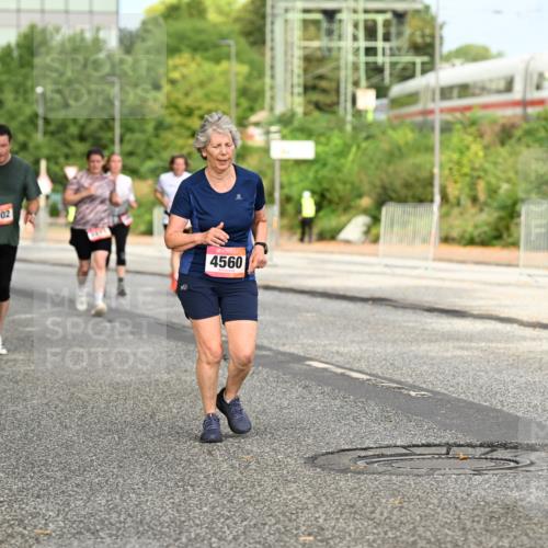 06.09.2026 - CURREX Alsterlauf Dr. Thomas Lammeyer http://msf.ph/oto/10143628 06.09.2026 10:14:25 Laufen 4102, 4560 meine-sportfotos.de