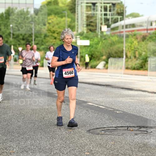 06.09.2026 - CURREX Alsterlauf Dr. Thomas Lammeyer http://msf.ph/oto/10143629 06.09.2026 10:14:25 Laufen 4102, 4560 meine-sportfotos.de