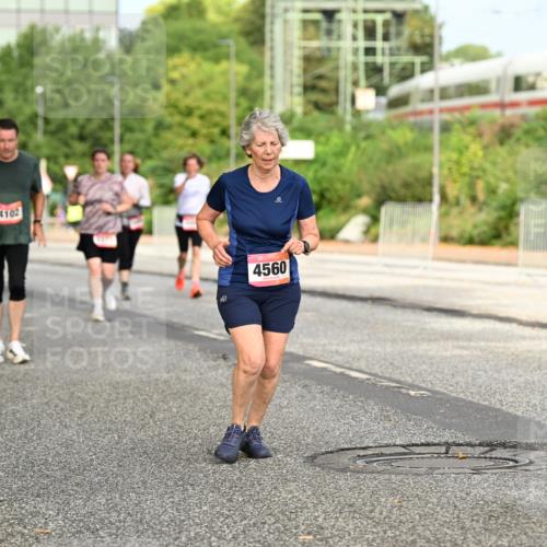 06.09.2026 - CURREX Alsterlauf Dr. Thomas Lammeyer http://msf.ph/oto/10143632 06.09.2026 10:14:25 Laufen 4102, 4560 meine-sportfotos.de
