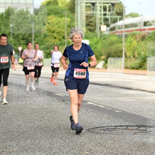 06.09.2026 - CURREX Alsterlauf Dr. Thomas Lammeyer http://msf.ph/oto/10143633 06.09.2026 10:14:26 Laufen 4102, 4560 meine-sportfotos.de