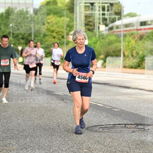 06.09.2026 - CURREX Alsterlauf Dr. Thomas Lammeyer http://msf.ph/oto/10143634 06.09.2026 10:14:26 Laufen 4102, 4560 meine-sportfotos.de
