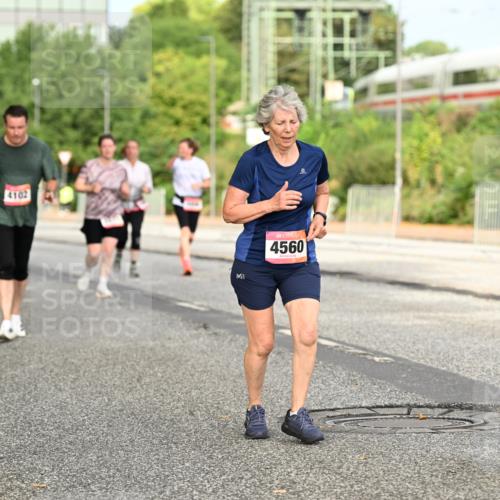 06.09.2026 - CURREX Alsterlauf Dr. Thomas Lammeyer http://msf.ph/oto/10143636 06.09.2026 10:14:26 Laufen 4102, 4560 meine-sportfotos.de