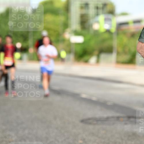 06.09.2026 - CURREX Alsterlauf Dr. Thomas Lammeyer http://msf.ph/oto/10143686 06.09.2026 10:14:32 Laufen  meine-sportfotos.de