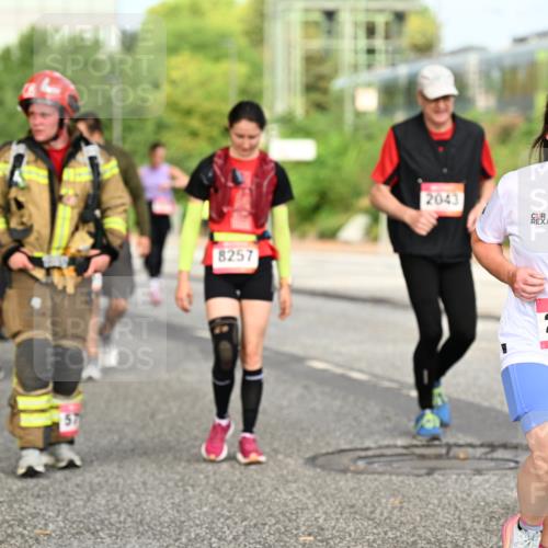06.09.2026 - CURREX Alsterlauf Dr. Thomas Lammeyer http://msf.ph/oto/10143703 06.09.2026 10:14:36 Laufen 8257, 2043, 2960 meine-sportfotos.de