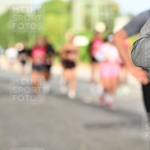 06.09.2026 - CURREX Alsterlauf Dr. Thomas Lammeyer http://msf.ph/oto/10143830 06.09.2026 10:14:58 Laufen  meine-sportfotos.de