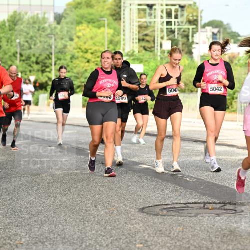 06.09.2026 - CURREX Alsterlauf Dr. Thomas Lammeyer http://msf.ph/oto/10143840 06.09.2026 10:14:59 Laufen 3145, 5043, 5042, 54, 4500, 42, 4665 meine-sportfotos.de