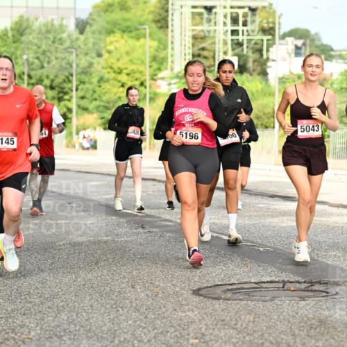06.09.2026 - CURREX Alsterlauf Dr. Thomas Lammeyer http://msf.ph/oto/10143851 06.09.2026 10:15:00 Laufen 3145, 84, 426, 2026, 5196, 00, 5043, 5042 meine-sportfotos.de