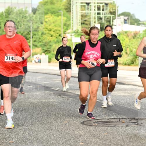 06.09.2026 - CURREX Alsterlauf Dr. Thomas Lammeyer http://msf.ph/oto/10143855 06.09.2026 10:15:01 Laufen 3145, 5426, 026, 96, 500, 50 meine-sportfotos.de