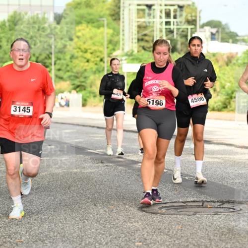 06.09.2026 - CURREX Alsterlauf Dr. Thomas Lammeyer http://msf.ph/oto/10143856 06.09.2026 10:15:01 Laufen 3145, 5426, 2026, 5196, 4500, 5043 meine-sportfotos.de