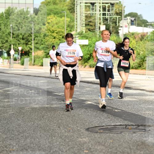 06.09.2026 - CURREX Alsterlauf Dr. Thomas Lammeyer http://msf.ph/oto/10143911 06.09.2026 10:15:09 Laufen 2995, 3926, 3769, 3654 meine-sportfotos.de