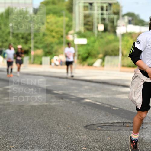 06.09.2026 - CURREX Alsterlauf Dr. Thomas Lammeyer http://msf.ph/oto/10143941 06.09.2026 10:15:12 Laufen 3926 meine-sportfotos.de