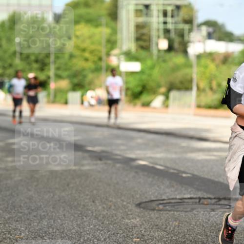 06.09.2026 - CURREX Alsterlauf Dr. Thomas Lammeyer http://msf.ph/oto/10143943 06.09.2026 10:15:12 Laufen 3926 meine-sportfotos.de