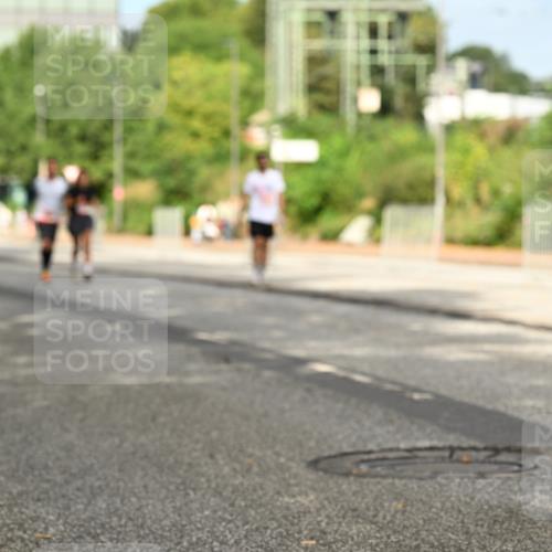 06.09.2026 - CURREX Alsterlauf Dr. Thomas Lammeyer http://msf.ph/oto/10143946 06.09.2026 10:15:13 Laufen 39 meine-sportfotos.de