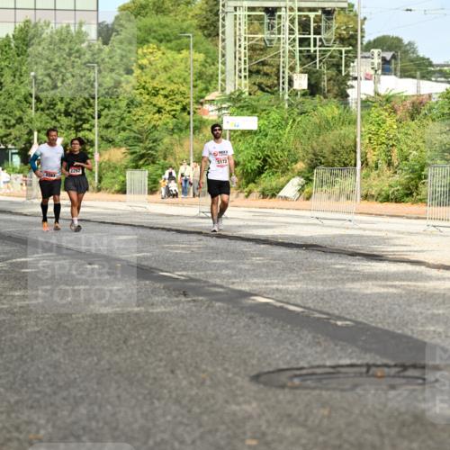 06.09.2026 - CURREX Alsterlauf Dr. Thomas Lammeyer http://msf.ph/oto/10143950 06.09.2026 10:15:13 Laufen 2995, 2293, 5172, 2292 meine-sportfotos.de