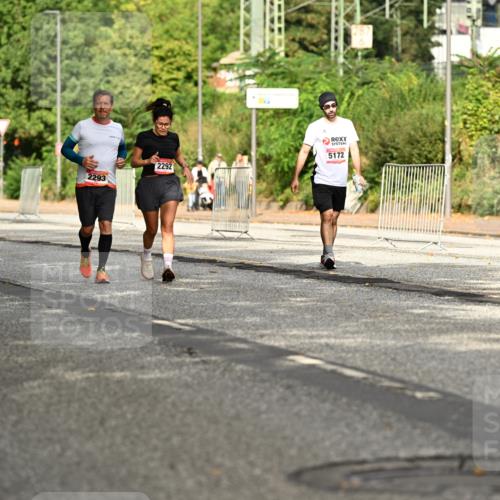 06.09.2026 - CURREX Alsterlauf Dr. Thomas Lammeyer http://msf.ph/oto/10143961 06.09.2026 10:15:16 Laufen 95, 2293, 2292, 5172 meine-sportfotos.de