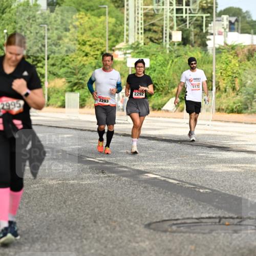 06.09.2026 - CURREX Alsterlauf Dr. Thomas Lammeyer http://msf.ph/oto/10143977 06.09.2026 10:15:18 Laufen 2293, 2995, 2292, 5172 meine-sportfotos.de