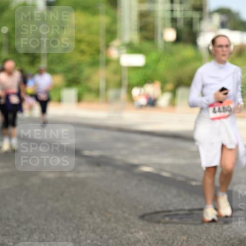 06.09.2026 - CURREX Alsterlauf Dr. Thomas Lammeyer http://msf.ph/oto/10144028 06.09.2026 10:15:25 Laufen 4480 meine-sportfotos.de