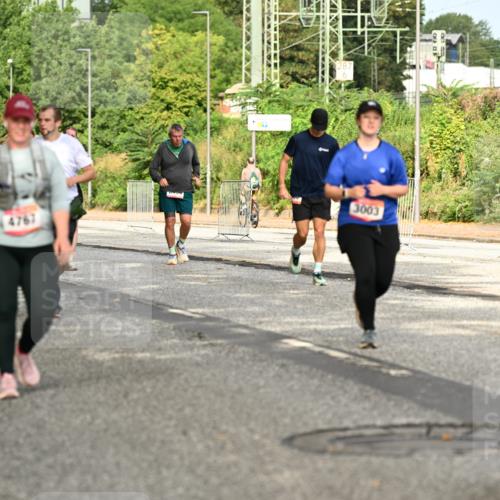 06.09.2026 - CURREX Alsterlauf Dr. Thomas Lammeyer http://msf.ph/oto/10144090 06.09.2026 10:15:34 Laufen 2572, 5305, 4767, 0904, 3003 meine-sportfotos.de