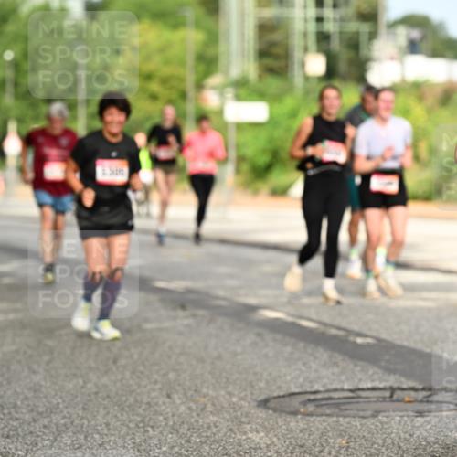 06.09.2026 - CURREX Alsterlauf Dr. Thomas Lammeyer http://msf.ph/oto/10144142 06.09.2026 10:15:40 Laufen  meine-sportfotos.de