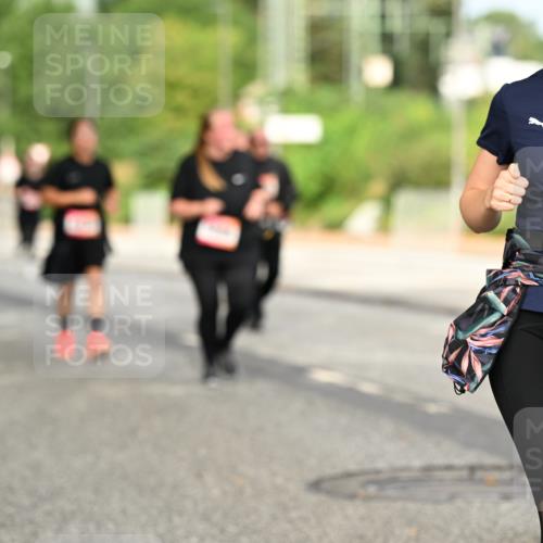 06.09.2026 - CURREX Alsterlauf Dr. Thomas Lammeyer http://msf.ph/oto/10144310 06.09.2026 10:16:01 Laufen 5350 meine-sportfotos.de