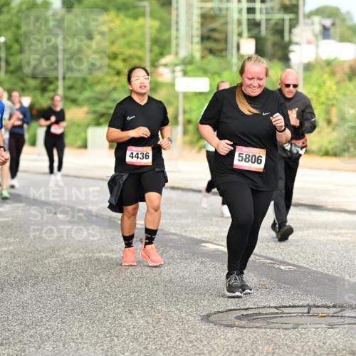 06.09.2026 - CURREX Alsterlauf Dr. Thomas Lammeyer http://msf.ph/oto/10144328 06.09.2026 10:16:03 Laufen 2579, 4436, 5806 meine-sportfotos.de