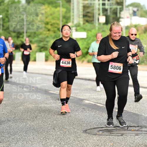 06.09.2026 - CURREX Alsterlauf Dr. Thomas Lammeyer http://msf.ph/oto/10144331 06.09.2026 10:16:03 Laufen 2579, 4436, 5806, 3025 meine-sportfotos.de