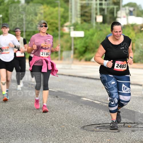 06.09.2026 - CURREX Alsterlauf Dr. Thomas Lammeyer http://msf.ph/oto/10144400 06.09.2026 10:16:11 Laufen 180, 2182, 2403, 4411 meine-sportfotos.de
