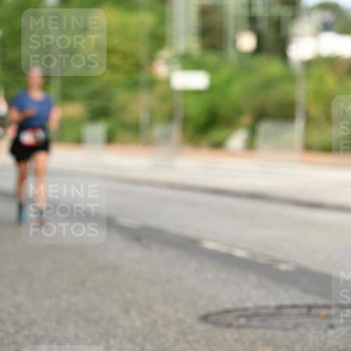 06.09.2026 - CURREX Alsterlauf Dr. Thomas Lammeyer http://msf.ph/oto/10144707 06.09.2026 10:16:56 Laufen  meine-sportfotos.de