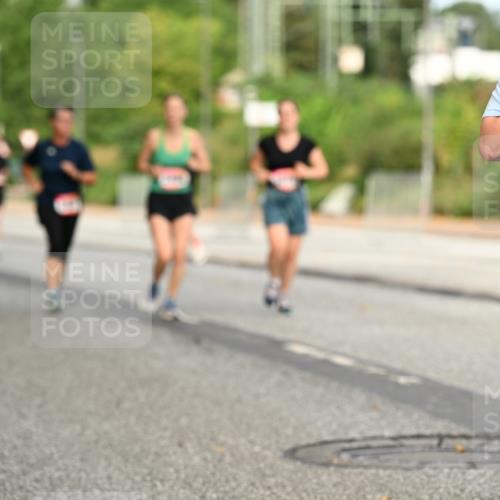 06.09.2026 - CURREX Alsterlauf Dr. Thomas Lammeyer http://msf.ph/oto/10144756 06.09.2026 10:17:04 Laufen 87, 391 meine-sportfotos.de