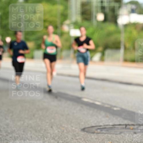 06.09.2026 - CURREX Alsterlauf Dr. Thomas Lammeyer http://msf.ph/oto/10144758 06.09.2026 10:17:04 Laufen 87, 2, 39 meine-sportfotos.de