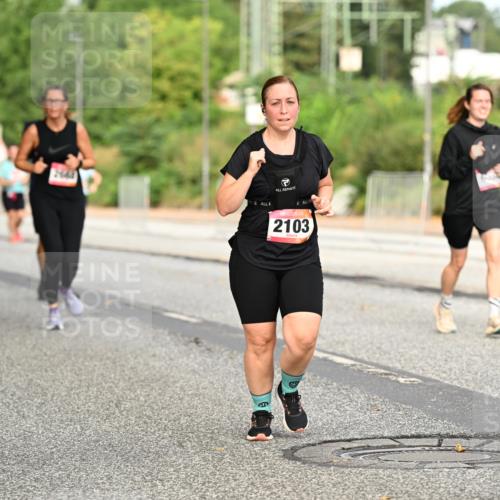 06.09.2026 - CURREX Alsterlauf Dr. Thomas Lammeyer http://msf.ph/oto/10144827 06.09.2026 10:17:12 Laufen 2667, 2103 meine-sportfotos.de