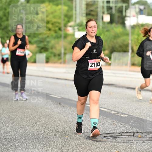 06.09.2026 - CURREX Alsterlauf Dr. Thomas Lammeyer http://msf.ph/oto/10144828 06.09.2026 10:17:12 Laufen 2667, 2103, 640 meine-sportfotos.de