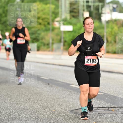 06.09.2026 - CURREX Alsterlauf Dr. Thomas Lammeyer http://msf.ph/oto/10144835 06.09.2026 10:17:13 Laufen 2103 meine-sportfotos.de