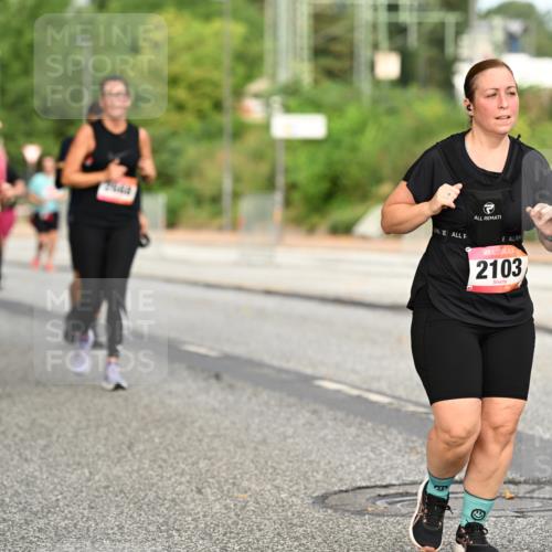 06.09.2026 - CURREX Alsterlauf Dr. Thomas Lammeyer http://msf.ph/oto/10144838 06.09.2026 10:17:13 Laufen 2103 meine-sportfotos.de