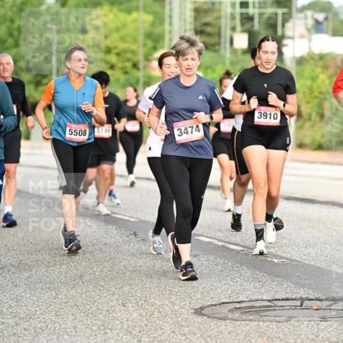 06.09.2026 - CURREX Alsterlauf Dr. Thomas Lammeyer http://msf.ph/oto/10144955 06.09.2026 10:17:25 Laufen 4260, 2362, 5508, 5149, 3474, 3910, 8232 meine-sportfotos.de