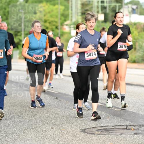 06.09.2026 - CURREX Alsterlauf Dr. Thomas Lammeyer http://msf.ph/oto/10144957 06.09.2026 10:17:26 Laufen 4260, 2362, 5508, 3474, 3910 meine-sportfotos.de