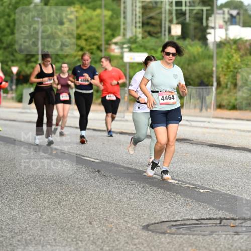 06.09.2026 - CURREX Alsterlauf Dr. Thomas Lammeyer http://msf.ph/oto/10145032 06.09.2026 10:17:34 Laufen 4869, 4464 meine-sportfotos.de