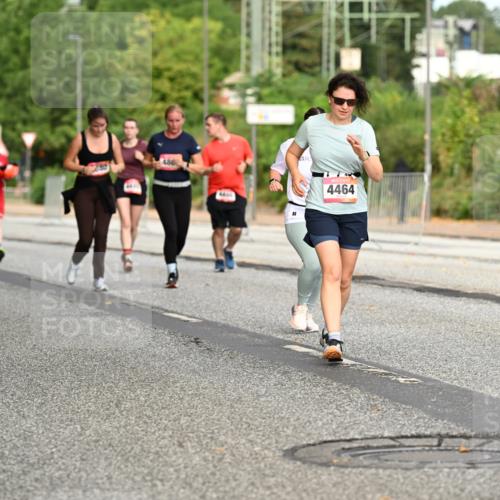 06.09.2026 - CURREX Alsterlauf Dr. Thomas Lammeyer http://msf.ph/oto/10145033 06.09.2026 10:17:34 Laufen 486, 44, 4464 meine-sportfotos.de