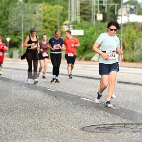 06.09.2026 - CURREX Alsterlauf Dr. Thomas Lammeyer http://msf.ph/oto/10145037 06.09.2026 10:17:35 Laufen 486, 464 meine-sportfotos.de