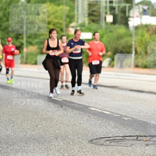 06.09.2026 - CURREX Alsterlauf Dr. Thomas Lammeyer http://msf.ph/oto/10145051 06.09.2026 10:17:36 Laufen 4464 meine-sportfotos.de