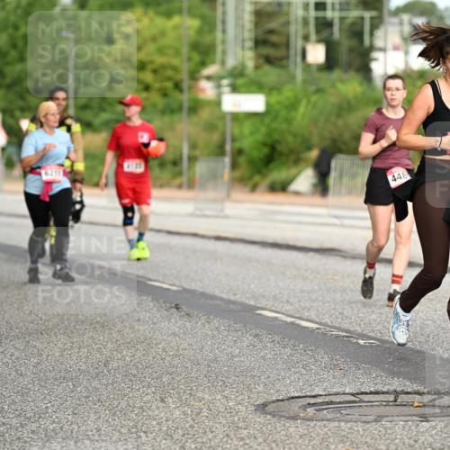 06.09.2026 - CURREX Alsterlauf Dr. Thomas Lammeyer http://msf.ph/oto/10145081 06.09.2026 10:17:40 Laufen 2876, 6211, 448, 380, 4869 meine-sportfotos.de
