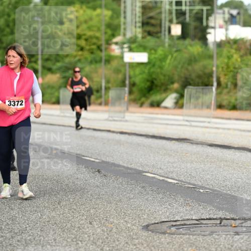 06.09.2026 - CURREX Alsterlauf Dr. Thomas Lammeyer http://msf.ph/oto/10145192 06.09.2026 10:17:58 Laufen 3372 meine-sportfotos.de