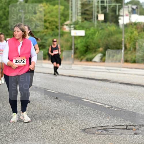 06.09.2026 - CURREX Alsterlauf Dr. Thomas Lammeyer http://msf.ph/oto/10145193 06.09.2026 10:17:58 Laufen 630, 3372 meine-sportfotos.de
