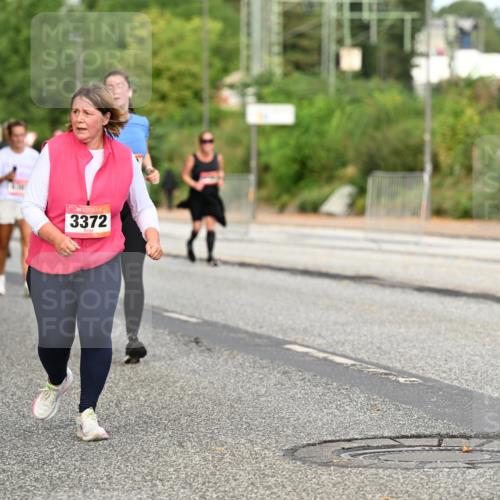 06.09.2026 - CURREX Alsterlauf Dr. Thomas Lammeyer http://msf.ph/oto/10145195 06.09.2026 10:17:59 Laufen 3372 meine-sportfotos.de