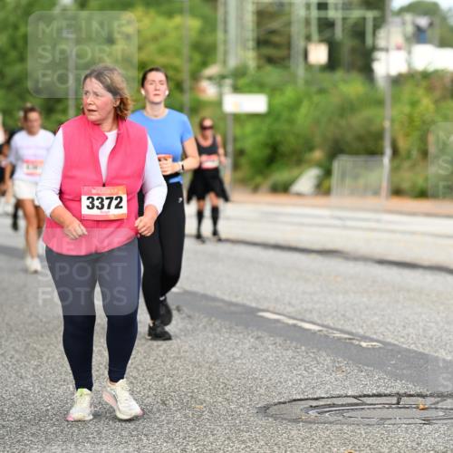 06.09.2026 - CURREX Alsterlauf Dr. Thomas Lammeyer http://msf.ph/oto/10145202 06.09.2026 10:17:59 Laufen 3372 meine-sportfotos.de